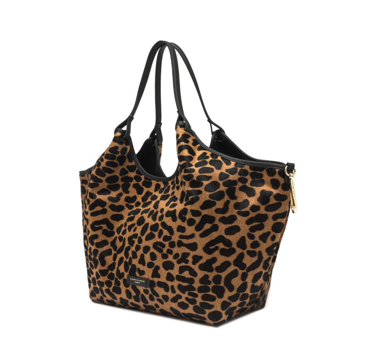 Dua grande Leo e nero -Gianni Chiarini