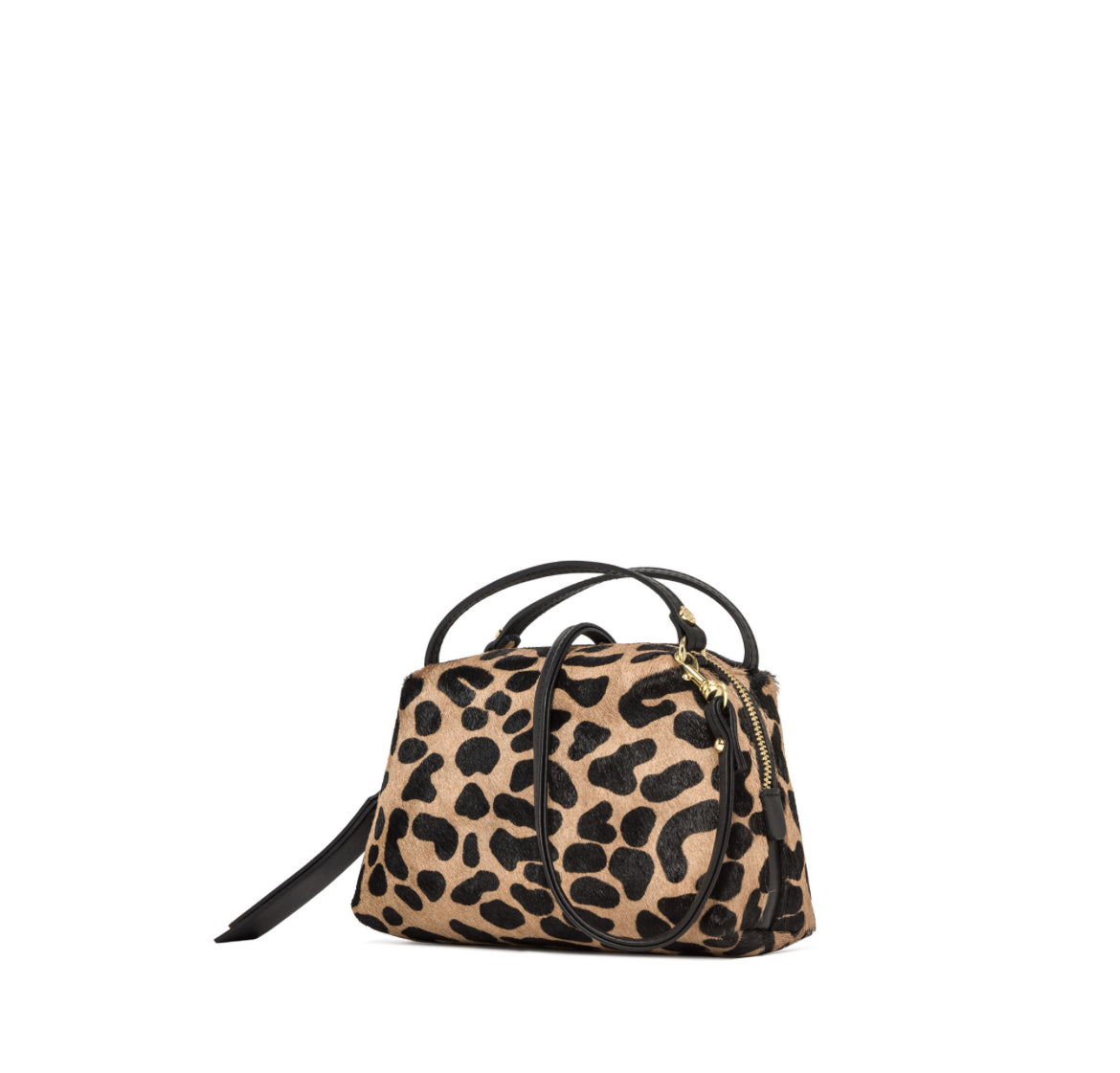 Alifa Leo e nero -Gianni Chiarini