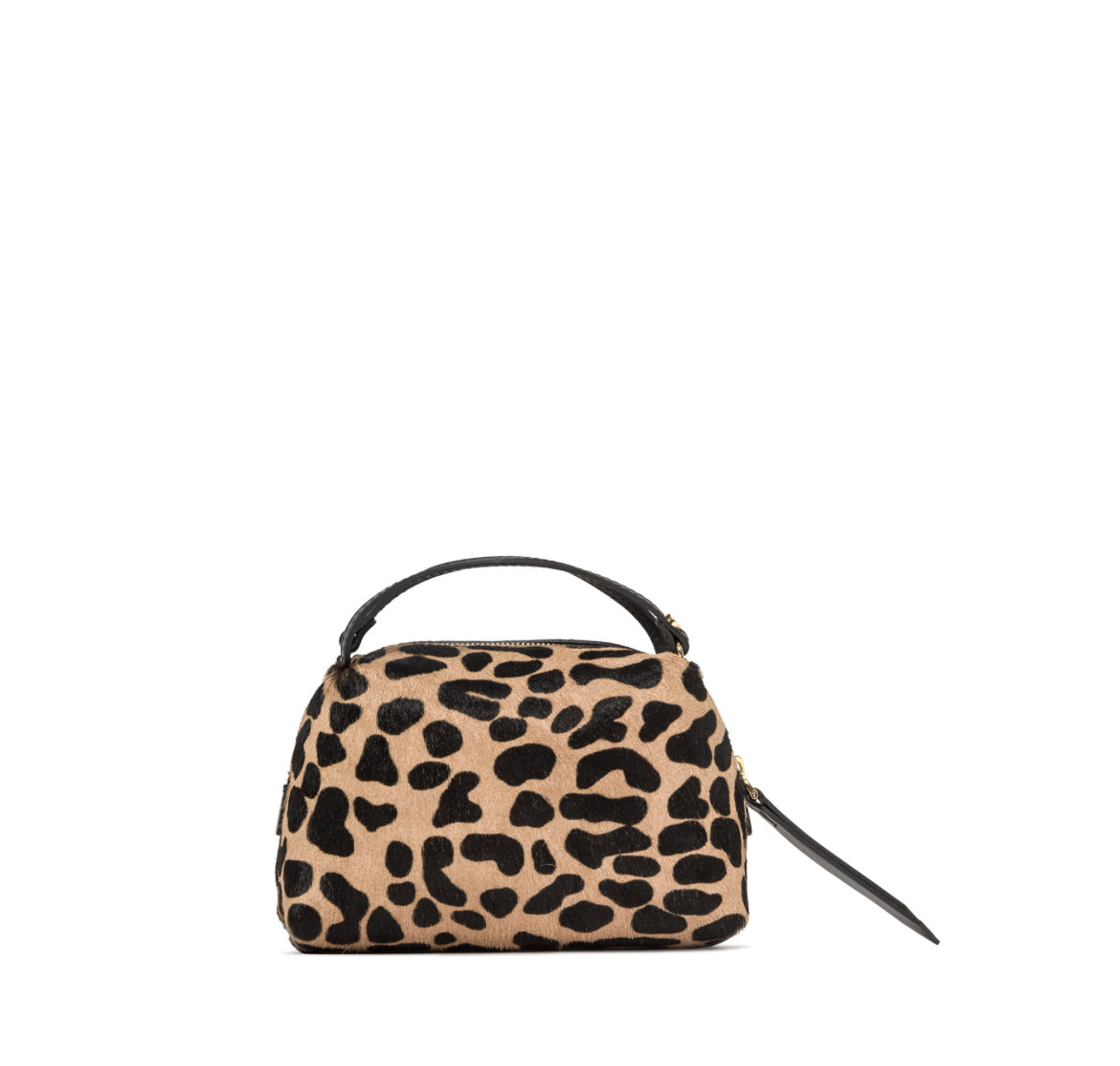 Alifa Leo e nero -Gianni Chiarini