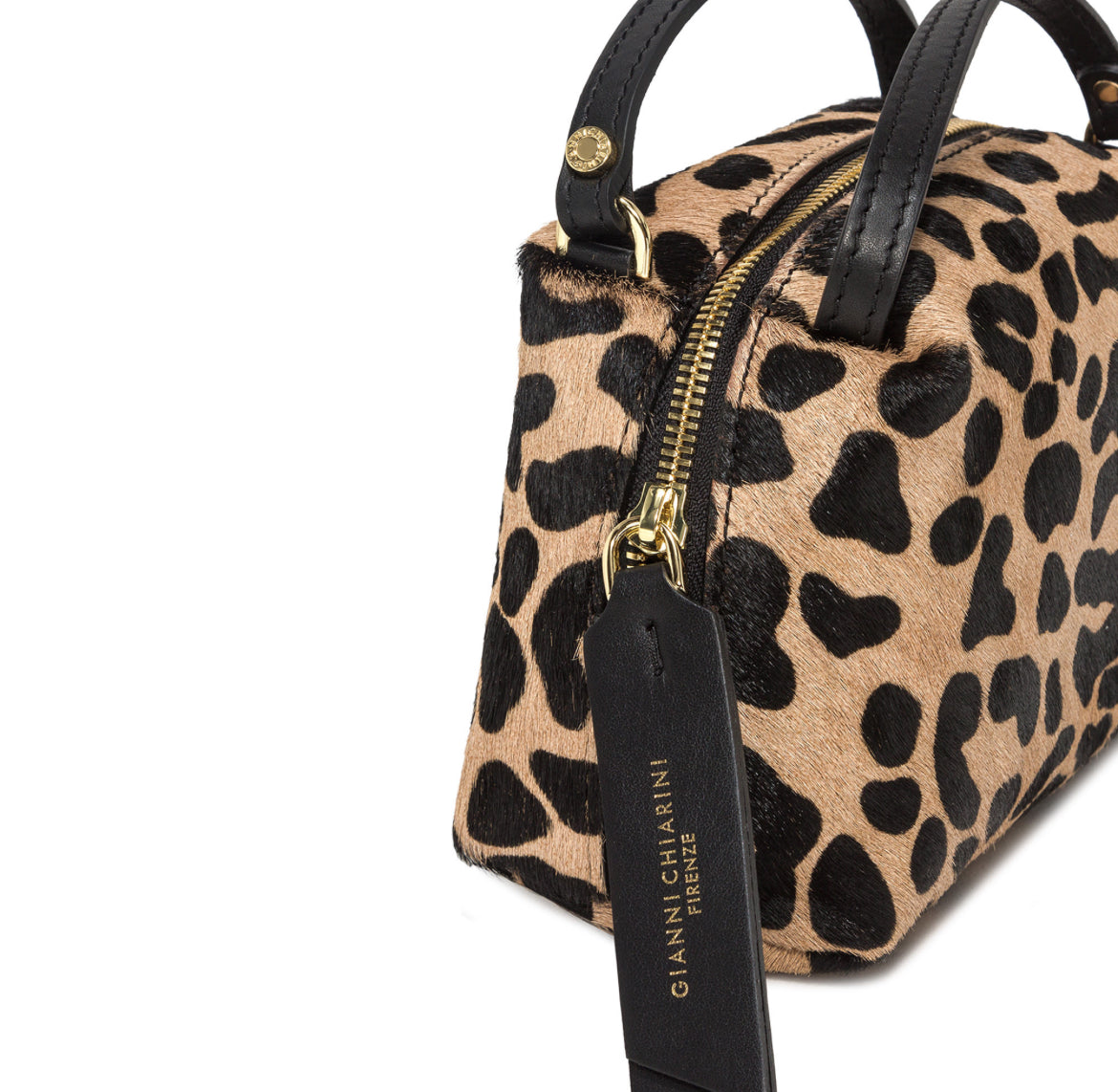 Alifa Leo e nero -Gianni Chiarini