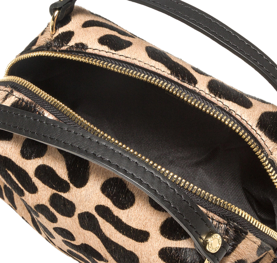 Alifa Leo e nero -Gianni Chiarini