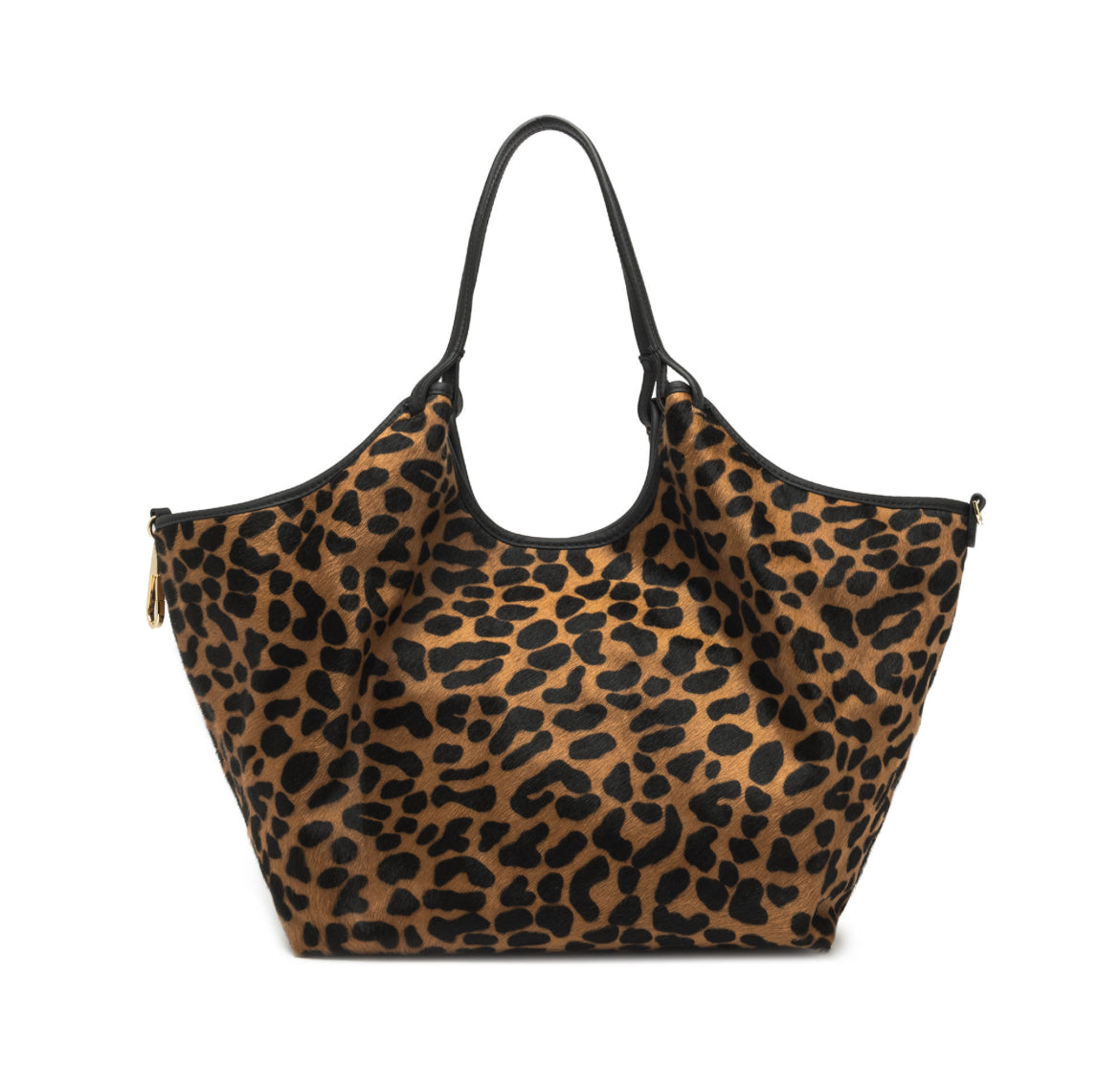 Dua grande Leo e nero -Gianni Chiarini